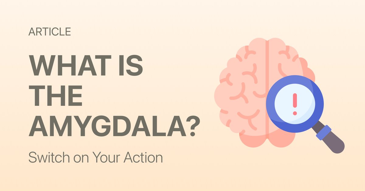 What Is the Amygdala? The Brain's Alarm System That Runs More of Your Life Than You Think