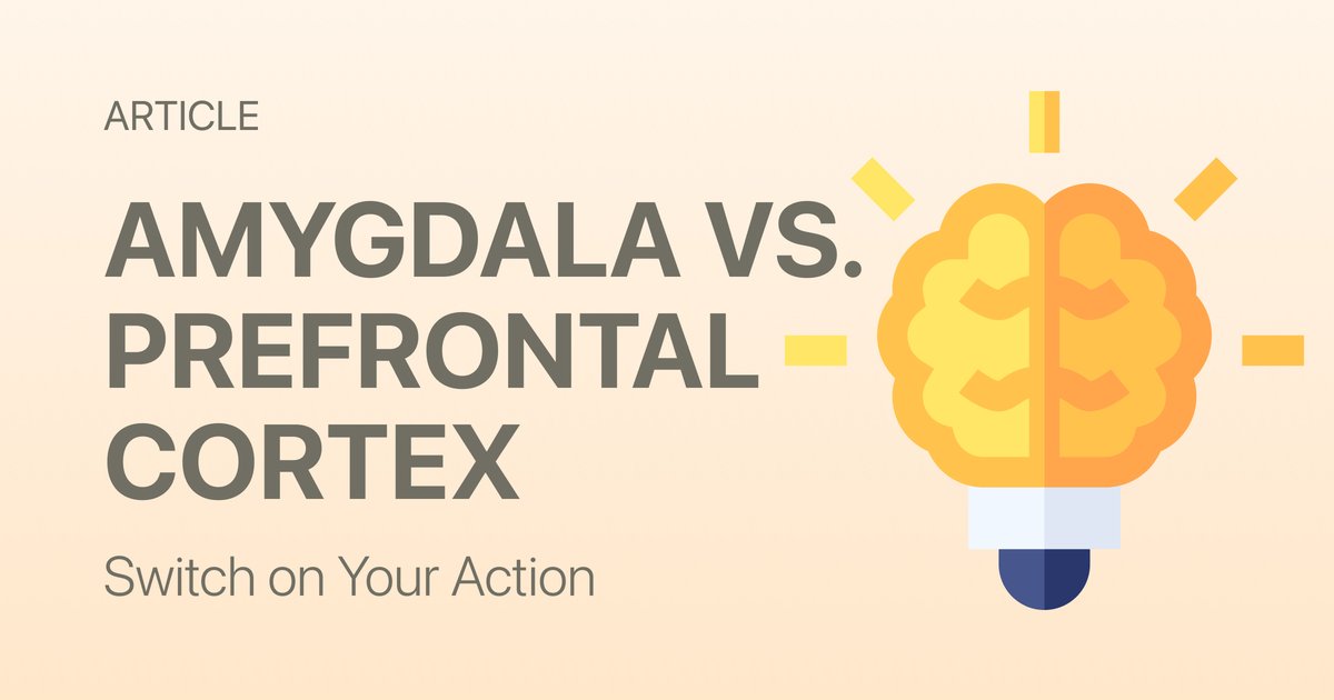 Amygdala vs. Prefrontal Cortex: The Brain Battle That Determines Your Productivity Every Day