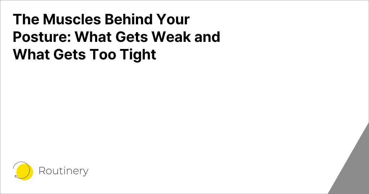 The Muscles Behind Your Posture: What Gets Weak and What Gets Too Tight