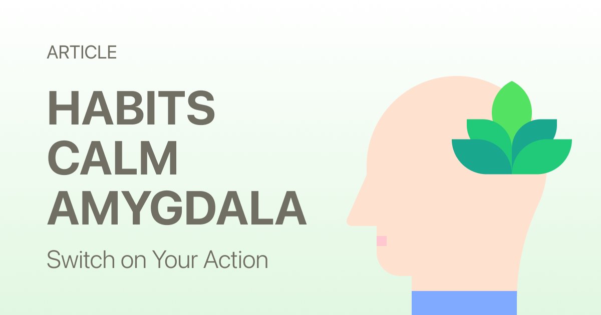 How Habits Calm the Amygdala: The Neuroscience Behind Why Routines Reduce Anxiety