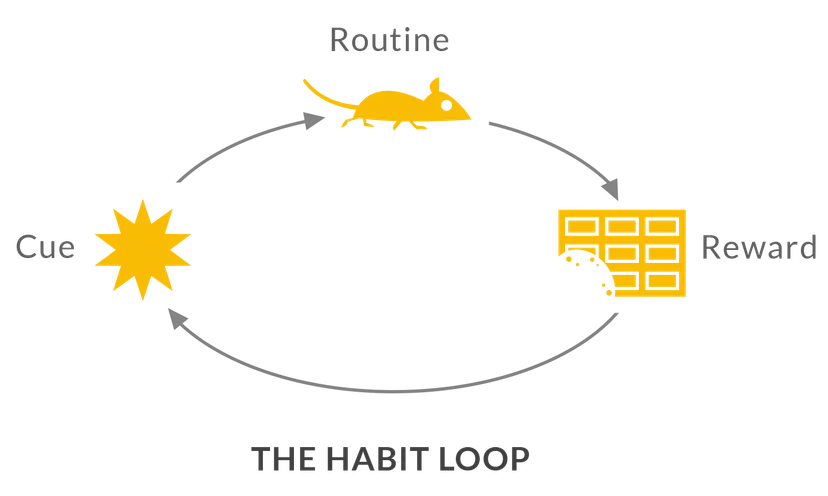 When cue and a behavior and a reward become neurologically intertwined, what’s actually happening is a neural pathway is developing that links those three things together in our head.