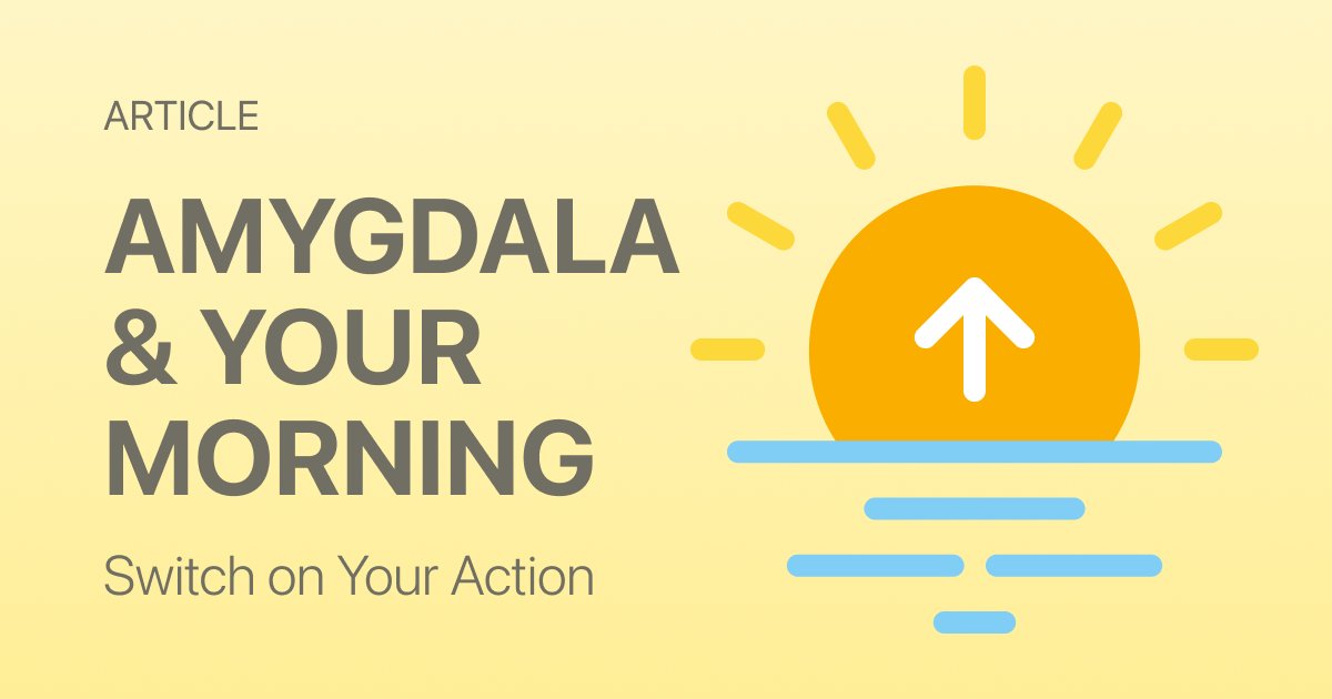 Morning Routines and the Amygdala: Why How You Start Your Day Determines Your Brain's Threat Level